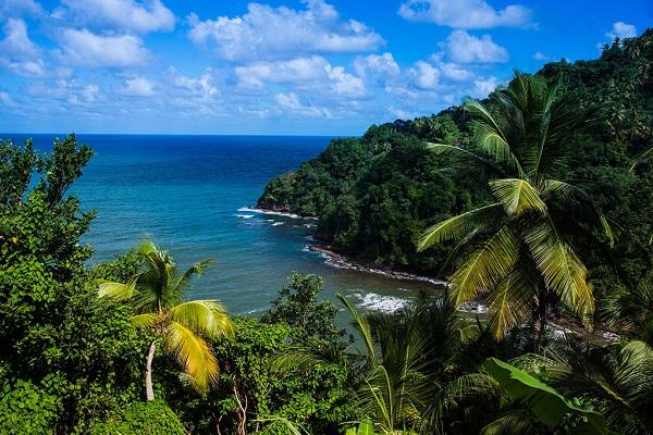 多米尼克移民陷阱