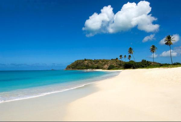 加拿大萨省商业移民条件