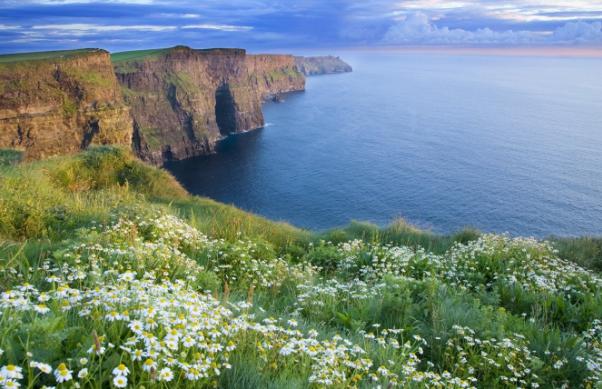 爱尔兰移民新政策攻略