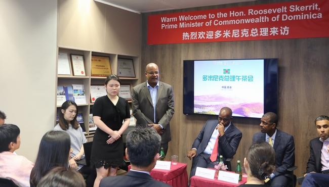 多米尼克移民骗局