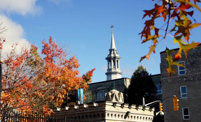 马耳他国债移民骗局攻略