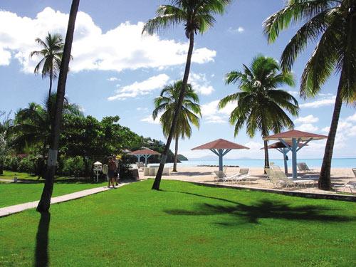 马耳他国债移民骗局攻略