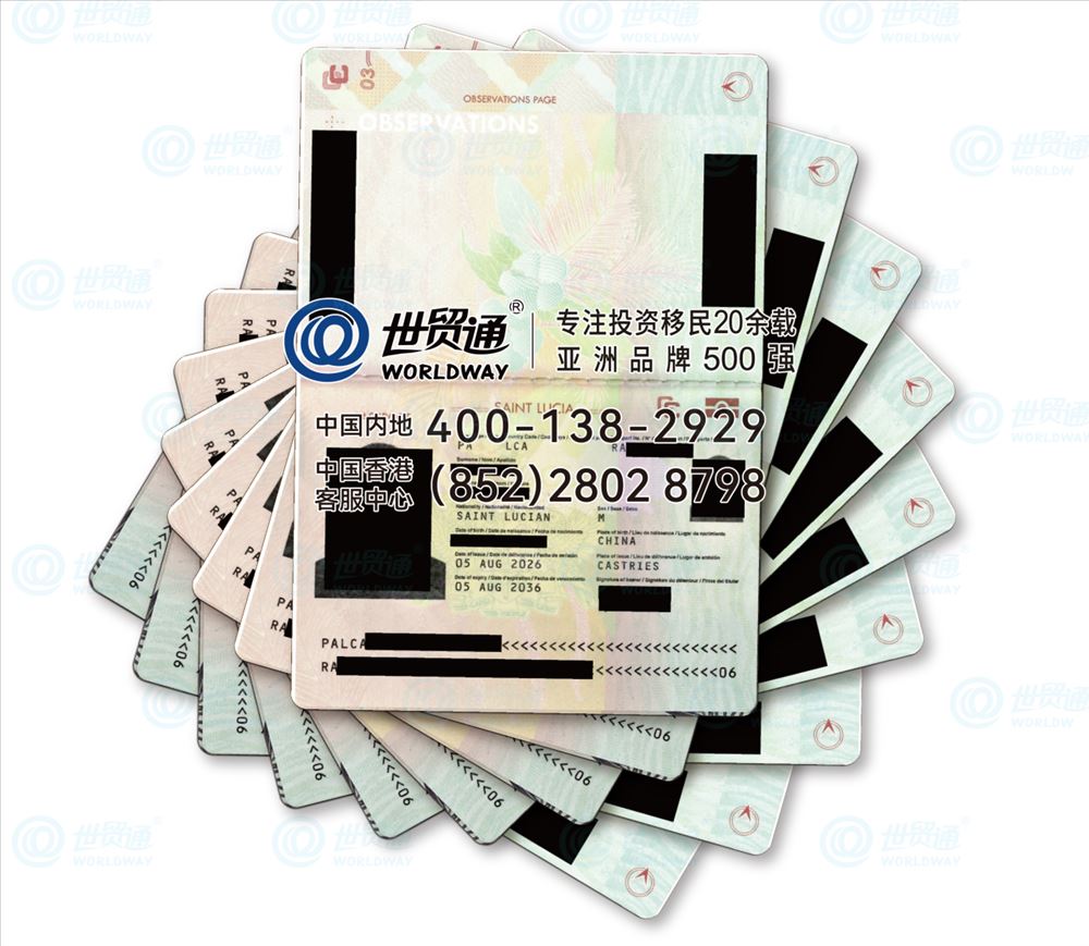 圣卢西亚护照批量到手,他们是怎么做到的?